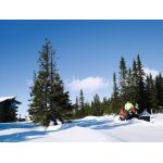 Snehova Radlica Husqvarna P 525dx 1606477841 2