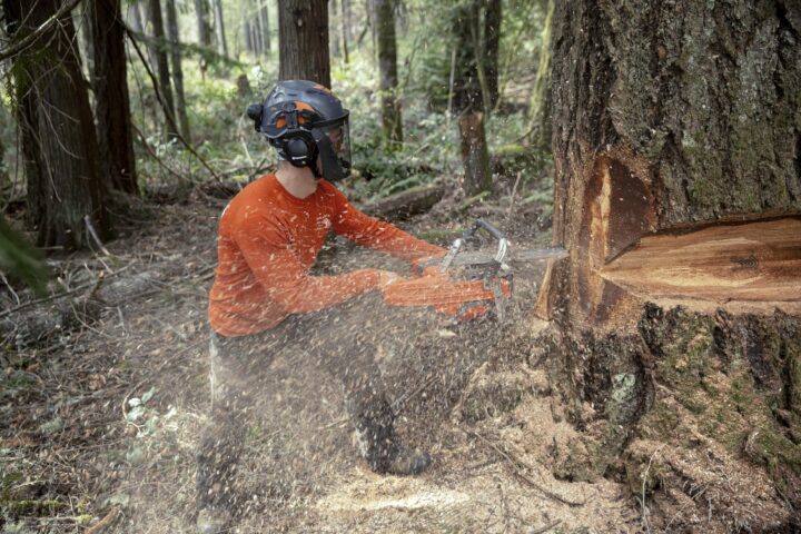 Zniznie Cien Vsetkych Retazi Husqvarna X Cut﻿ 1705936904