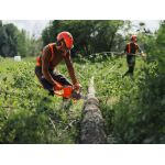 akumulátorová reťazová píla HUSQVARNA 435i – Obrázok 3