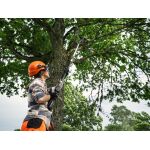 akumulátorová vyvetvovacia píla HUSQVARNA ASPIRE® P8X-P4A – Obrázok 3